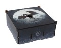 Card Storage Case Moon Small.jpg