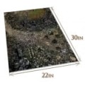 RUINS_MAP_HDF.jpg