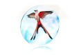 Wingspan tokens (1).jpg