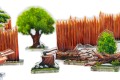 Forest-1.jpg